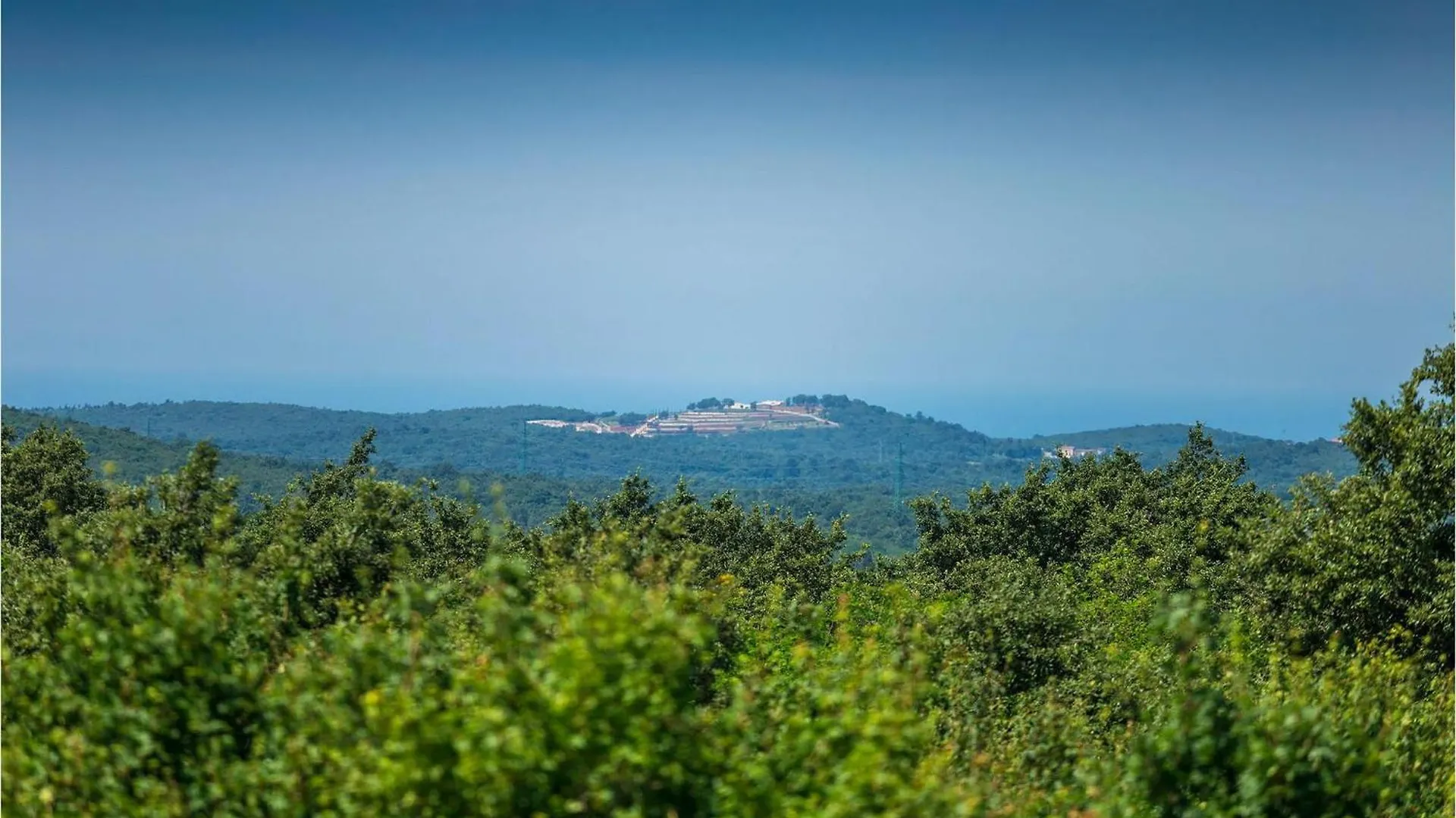 Villa Salambati Smoljanci Holiday home